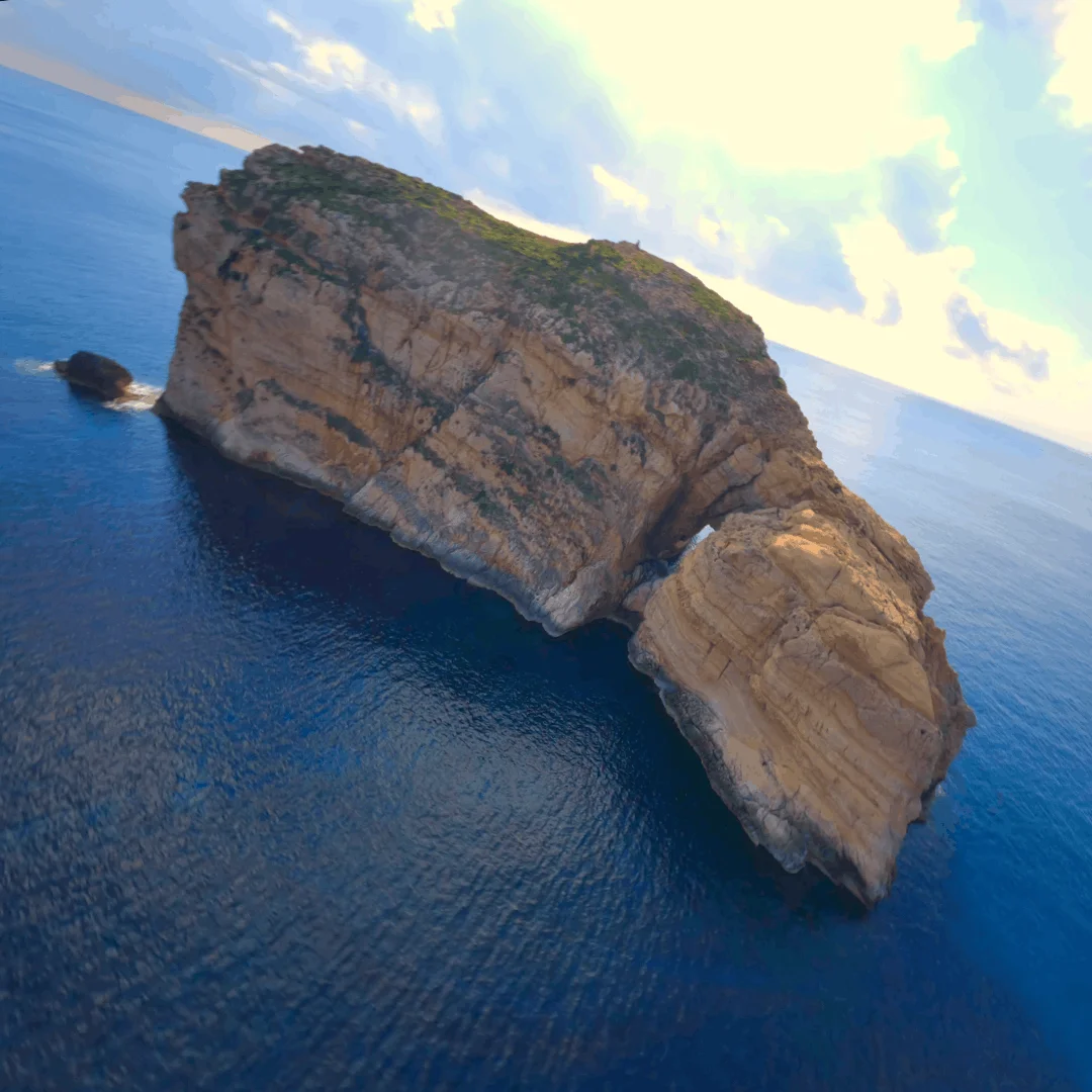 Fungus Rock